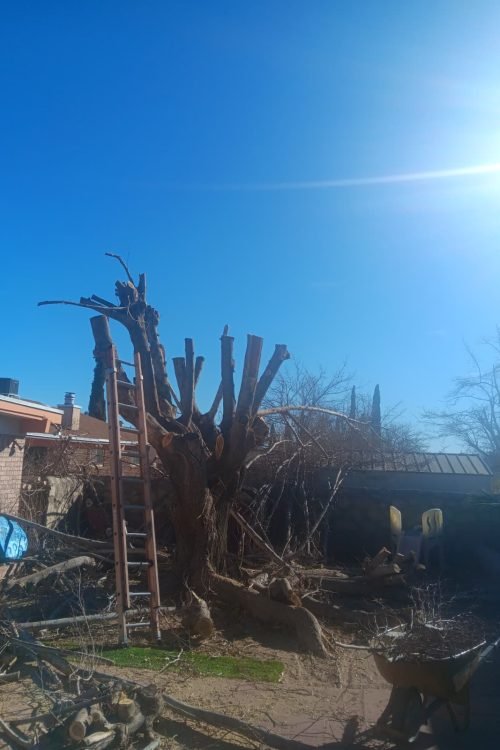 WhatsApp Image 2026-02-06 at 11.36.58 AM